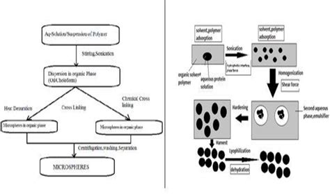 Figure 2 From A REVIEW ON MICROSPHERE AS A NASAL DRUG DELIVERY SYSTEM