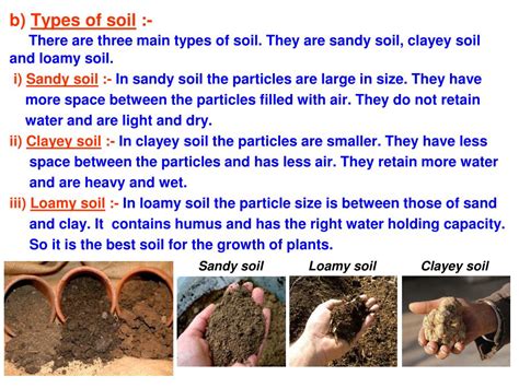 Ppt Chapter 9 Soil Powerpoint Presentation Free Download Id836817