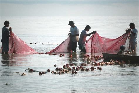 Pescando En El Paredón De Guatemala