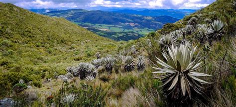 Beste Natur Und Abenteuer Parque Nacional Natural Chingaza