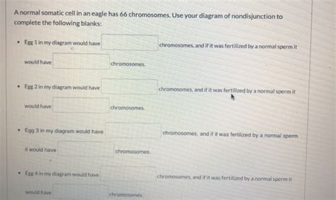 Solved Eagles Use The Zw Sex Determination System Where The Chegg