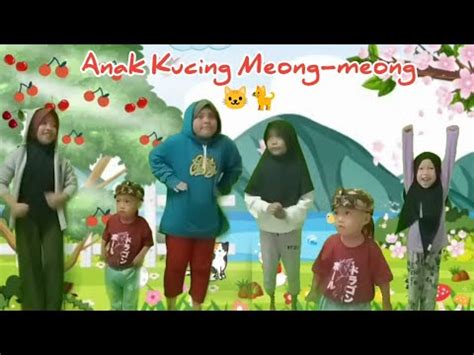 Anak Kucing Meong Meong Tarian Dan Lagu Populer Youtube