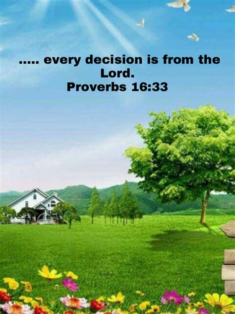 Proverbs 16 33 The Lot Is Cast Into The Lap But Its Every Decision Is