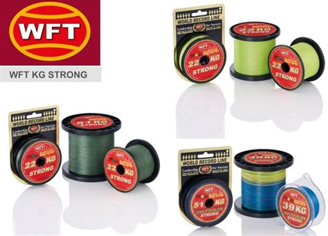 WFT KG STRONG Schnur 300m 0 12mm 15kg Grün