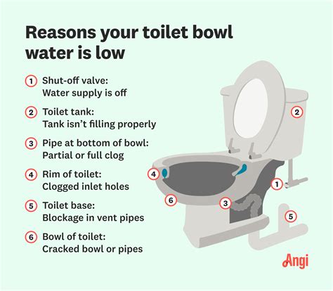 How Much Water Does Toilet Tank Hold: Essential Insights