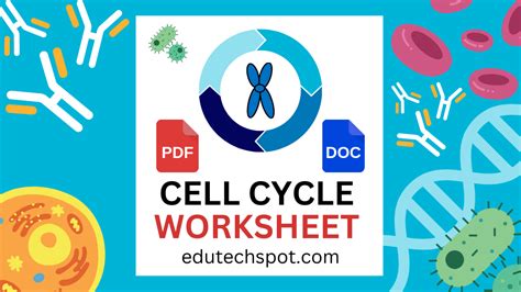 The Cell Cycle Coloring Worksheet Edutechspot