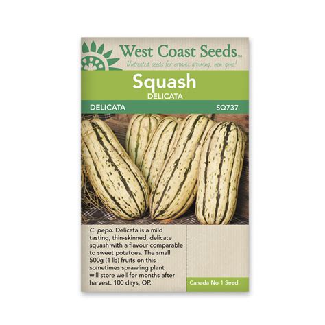 Delicata Squash Seeds