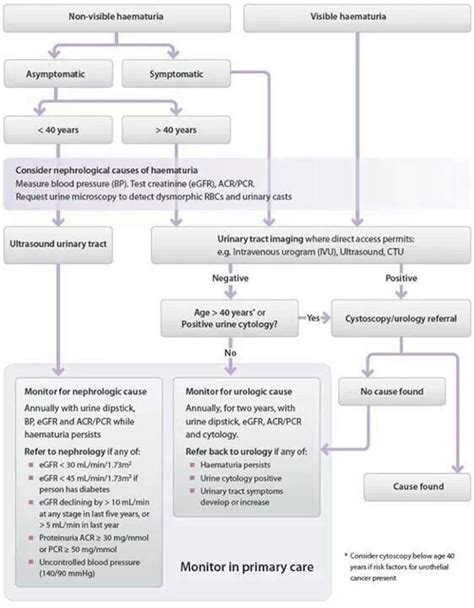 Pin By Милана Пузовић On Medical Normal Cholesterol Level Blood Test