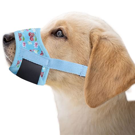 Can A Muzzle Stop A Dog Barking