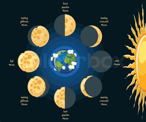 Moon phases. | Stock vector | Colourbox