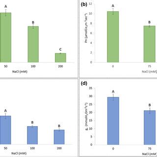 Net Photosynthetic Rate P N A And B And Leaf Stomatal Conductance