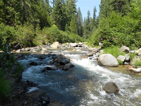 Mill Creek Near Mt Lassen Calif What A Great Place To Fish Fly