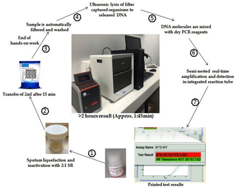 Innovations In Molecular Identification Of Mycobacterium Tuberculosis