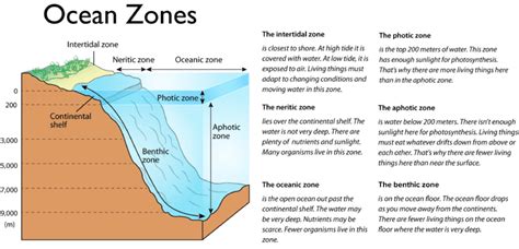 9.3: Ocean Zones - K12 LibreTexts