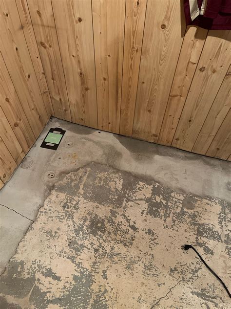 Damp Basement Carpet at Nina Roberts blog