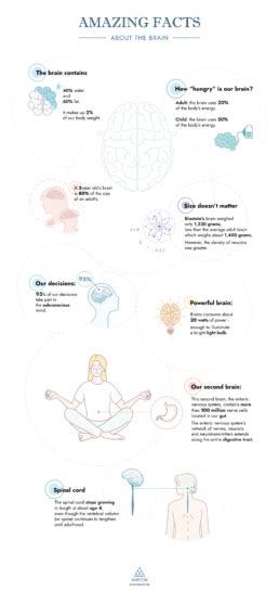 Infographic: Amazing facts about the brain – Baryon