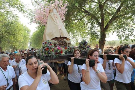 La Romería de Cuatrovitas 2025 Aljarafe 5 sentidos