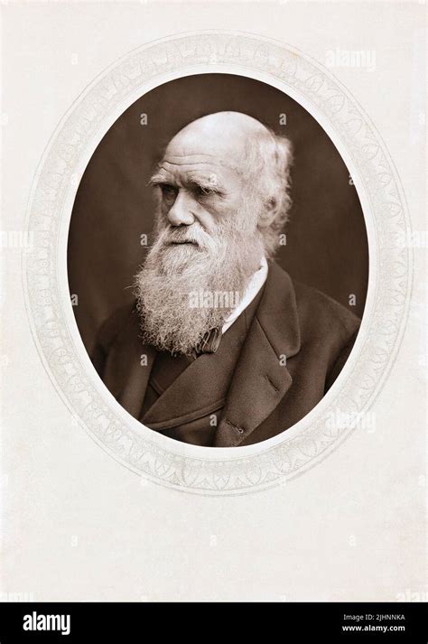 Portrait of Charles Darwin Stock Photo - Alamy