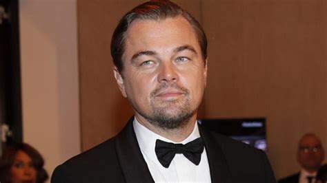 El Actor Leonardo Dicaprio Salva A Un Hombre De Morir Ahogado En El Caribe