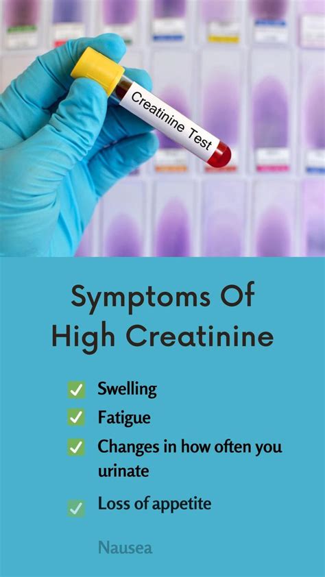 What Are The Symptoms Of High Creatinine? | Health education, Health ...