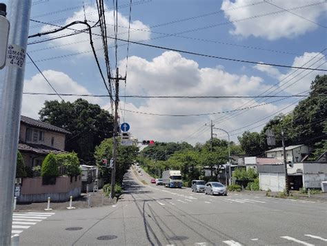 World Naked Bike Ride について調べてみたmemo Cycling Yokohama