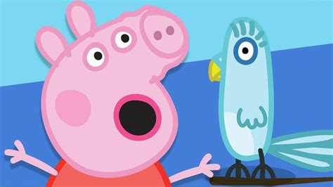 Peppa Pig Nederlands Compilatie Nieuwe Afleveringen | Dieren ...