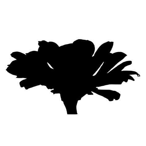 SVG Flower Free SVG Image Icon SVG Silh