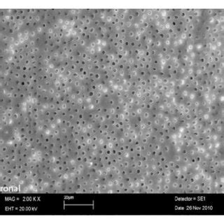 SEM Micrograph Of Group 1 A Coronal Third B Middle Third And C