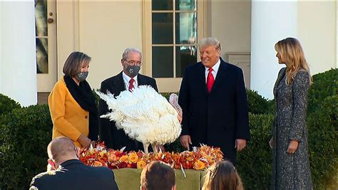 Trump Pardons Thanksgiving Turkeys At White House