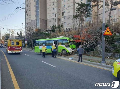 진해서 마을버스 중앙선 넘어 가로수 충돌6명중경상 뉴스1