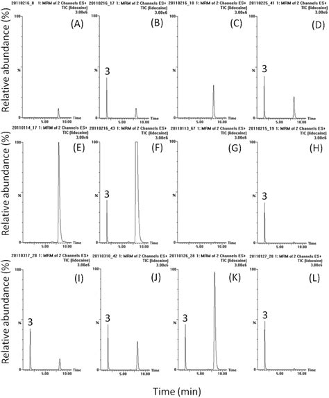 Typical Lc Msms Chromatograms Of Lidocaine Internal Standard In Download Scientific Diagram