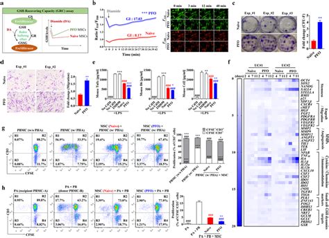 Enhanced Immunomodulatory Activities Of Smallsized Ucmscs With High