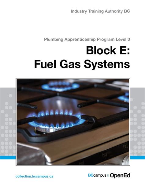 Block E Fuel Gas Systems Simple Book Publishing