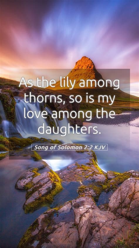 Song Of Solomon 2 2 KJV Mobile Phone Wallpaper As The Lily Among