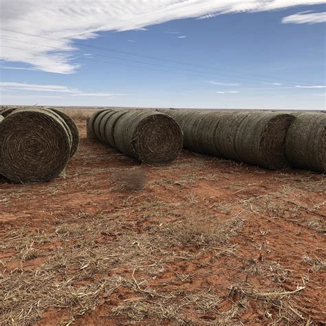 Hay For Sale Hay Map