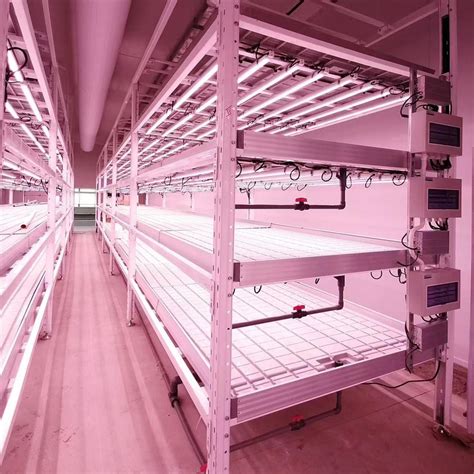 Vertical Farming Solutions High Density Multi Tier 4x8 Mobile Vertical