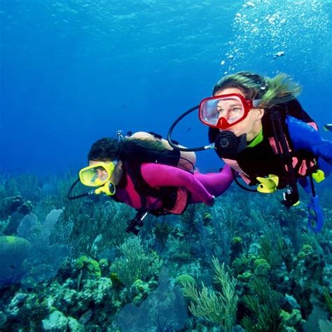 Padi Scuba Certification Course With Optional Boat Trip From Tropical