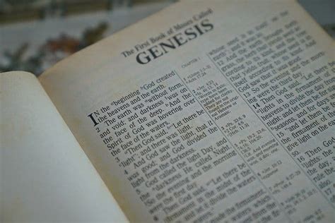 Summary Of Genesis – The Bible Brief