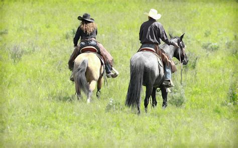 Riders Photograph By Steve Mckinzie Fine Art America