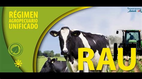 REGIMEN AGROPECUARIO UNIFICADO YouTube