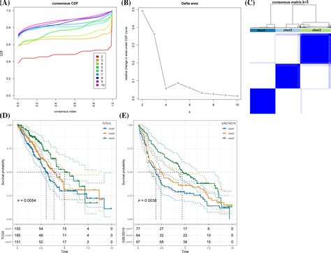 Biocell Free Full Text Identification Of Prognostic Molecular