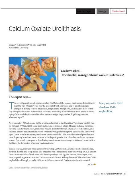 Pdf Calcium Oxalate Urolithiasis Pdf Dokumen Tips