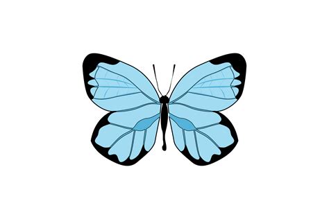 Vector Blue Butterfly Graphic By Bhaartstudio · Creative Fabrica