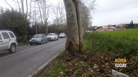 Incidente Nomentana Auto Contro Albero Morti Due Ragazzi