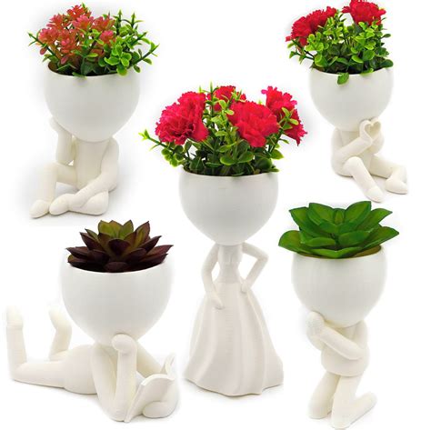 Vaso Suculenta Robert Plant Bob Bbb Decora O Plantas Sala Elo