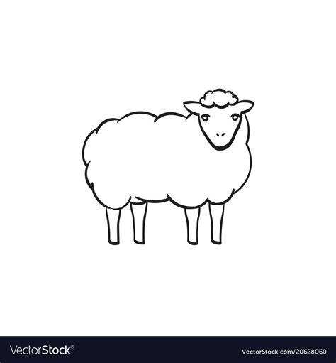 Sheep Sketch Images - img-jam