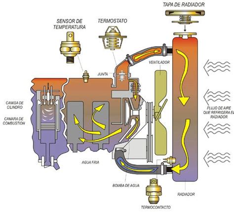 LA IMPORTANCIA DEL LÍQUIDO REFRIGRANTE Radiadores Esteban Car