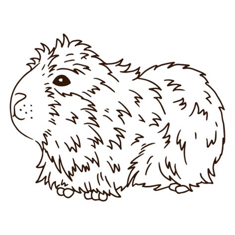 Guinea Pig Png Designs For T Shirt And Merch