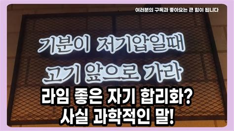 기분이 저기압일 땐 고기 앞으로 라임 좋은 자기 합리화 사실 과학적인 말 YouTube