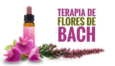 Mitos Y Verdades De Las Flores De Bach Daniela Ord Ez